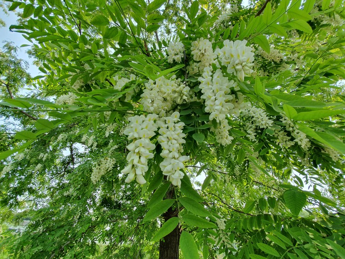 99FF88495CDB578A30799B