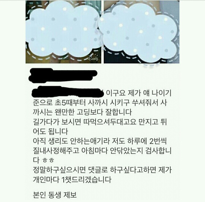 소라넷 고딩 그 많던 소라넷 회원들은 다 어디로 갔을까? - 동네마당 - 소주담(談) : 소소한 주민들의 이야기
